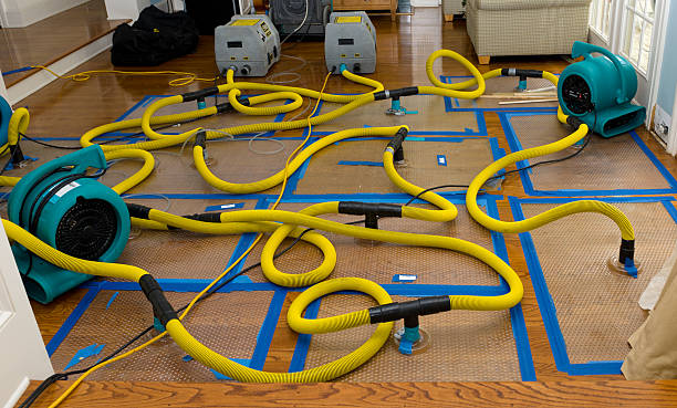 Professional Water Damage Repair technician working in Glen Daniel, WV