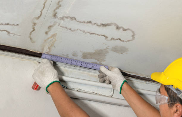 Affordable Water Damage Repair solutions in Glen Daniel, WV